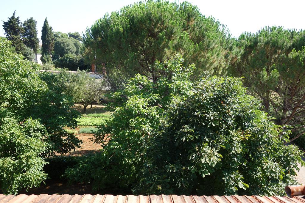 Blaskovic Apartment *