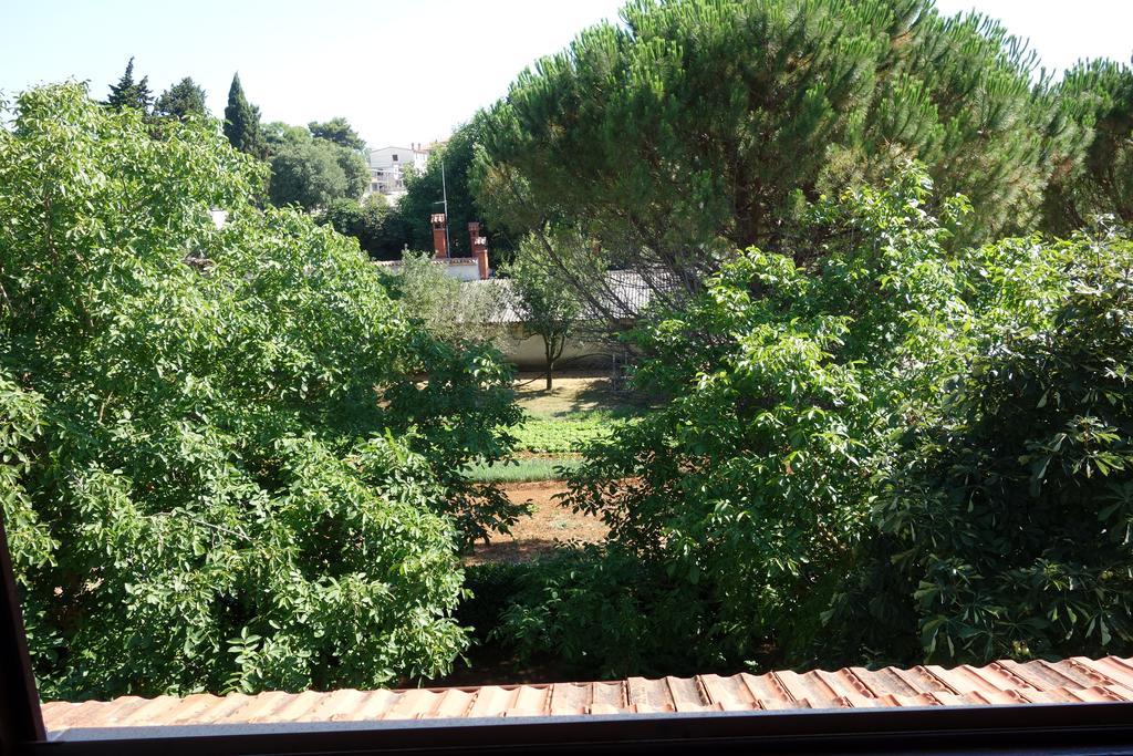 Blaskovic Apartment *